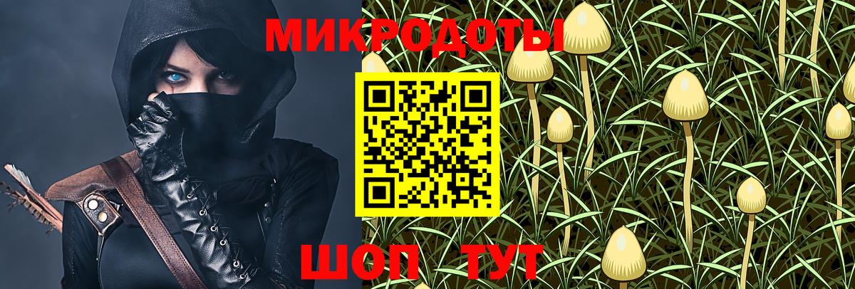 Псилоцибиновые грибы мухоморы  Вход с VPN  Псилоцибиновые грибы Magic Shrooms  Истра 